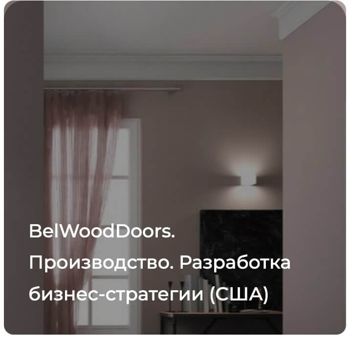 Разработка бизнес-стратегии на рынке US. Кейс BelWoodDoors