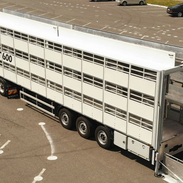 Сбор из открытых источников максимального количество кандидатов