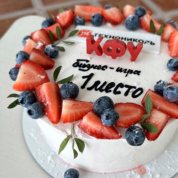 Деловая игра для юристов. Кейс ГК ТехноНИКОЛЬ (СНГ) 1800х600