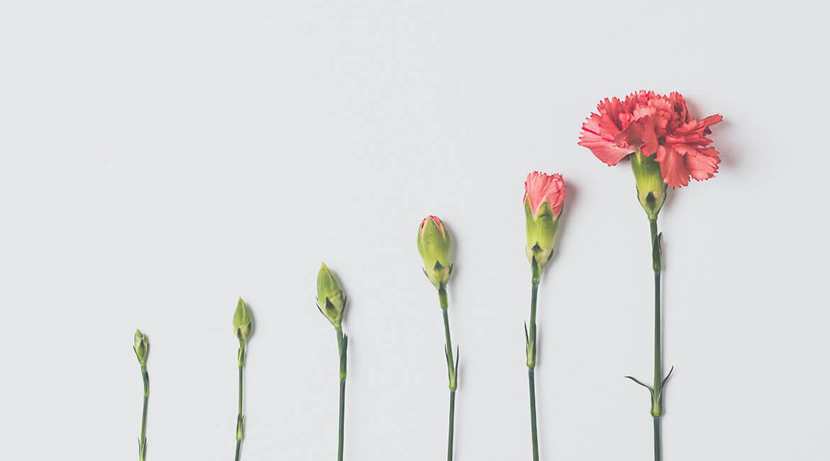 Построение стратегической дорожной карты на основе результатов стратегической сессии