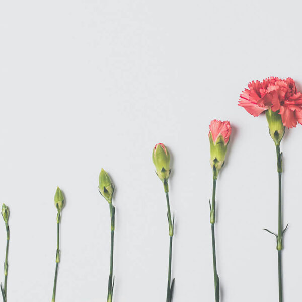 Построение стратегической дорожной карты на основе результатов стратегической сессии