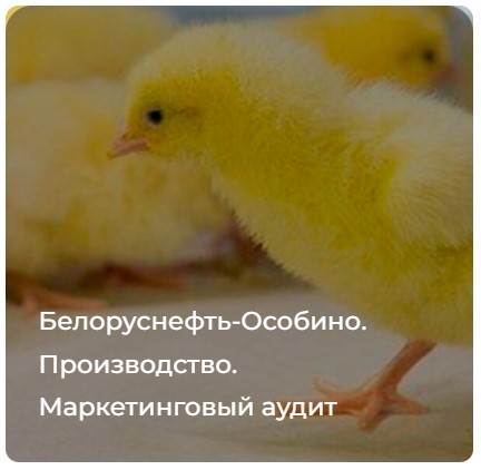 Белоруснефть-Особино. Производство. Маркетинговый аудит