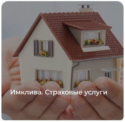 Разработка новых финансовых продуктов. Кейс Имклива. Страховые услуги